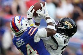 Buffalo Bills vs Jacksonville Jaguars AFC Wild Card Game